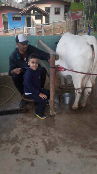 Bicho Mania 2022